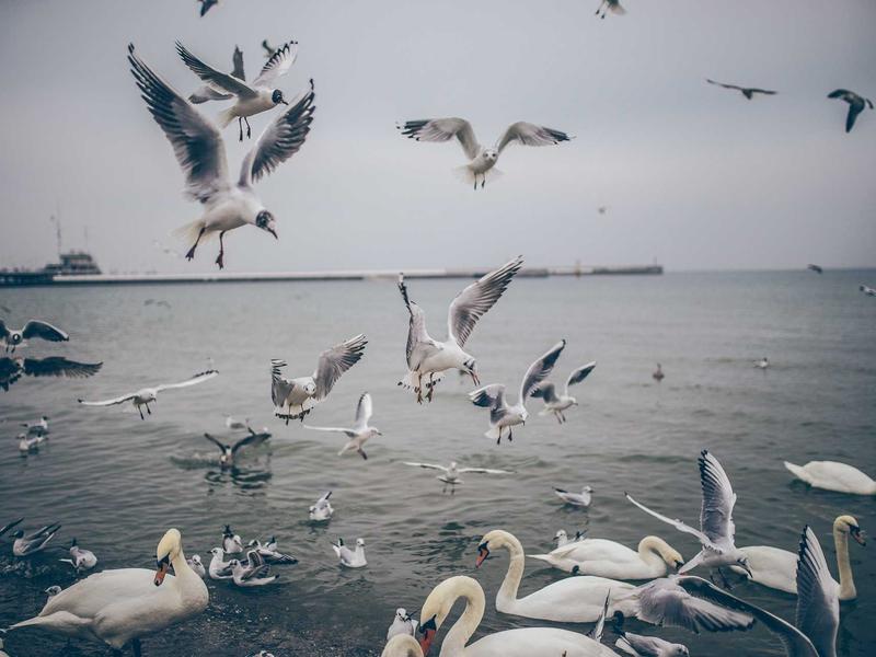 sudoku app download screenshot 2