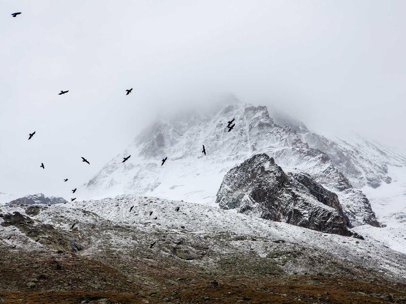 sudoku app download screenshot 4